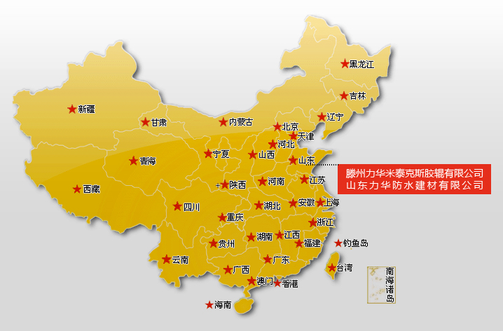 國內市場
